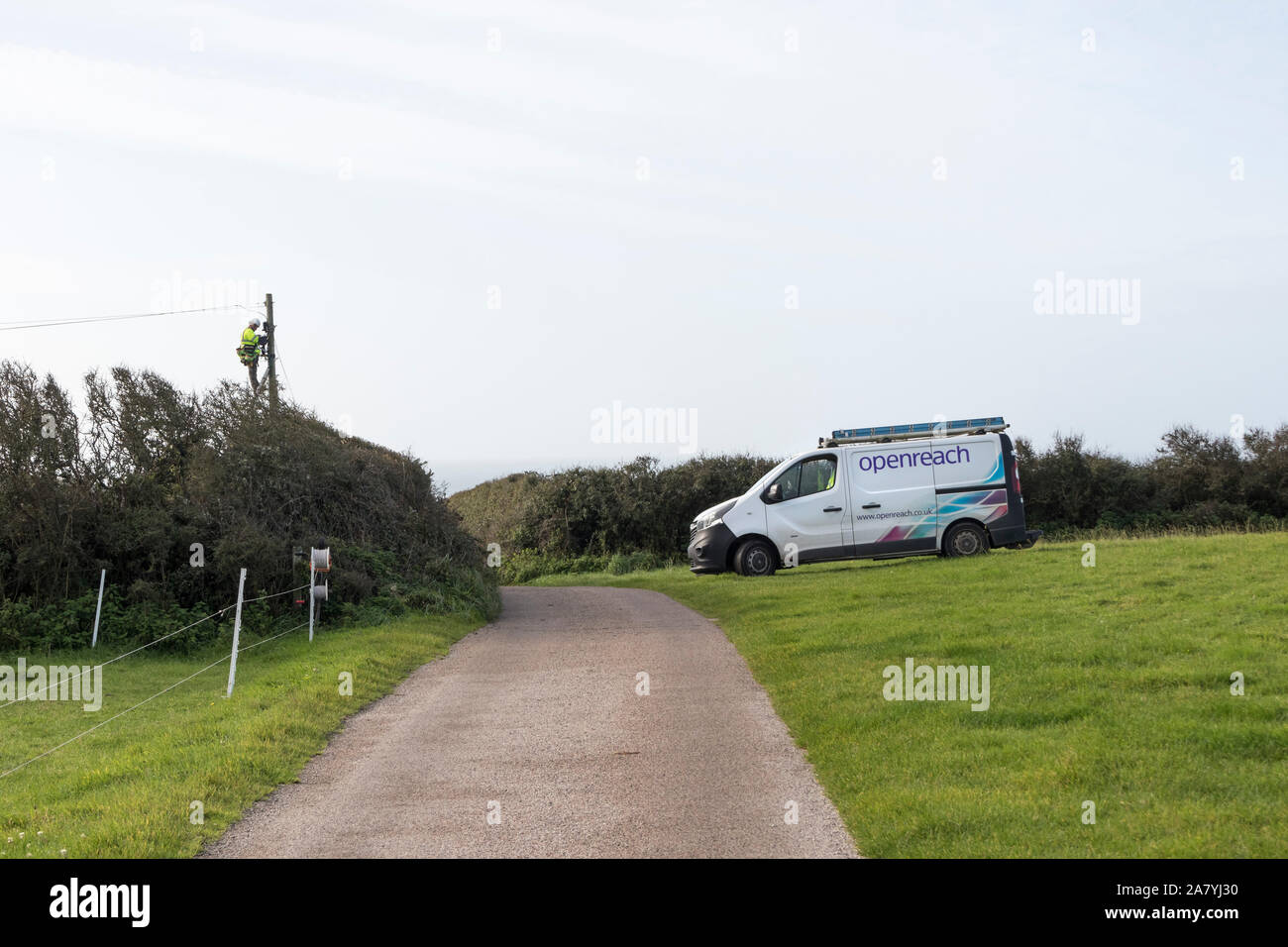 BT Openreach Engineer lavora in altezza su un palo del telegrafo in una zona rurale, Cornwall, Regno Unito Foto Stock