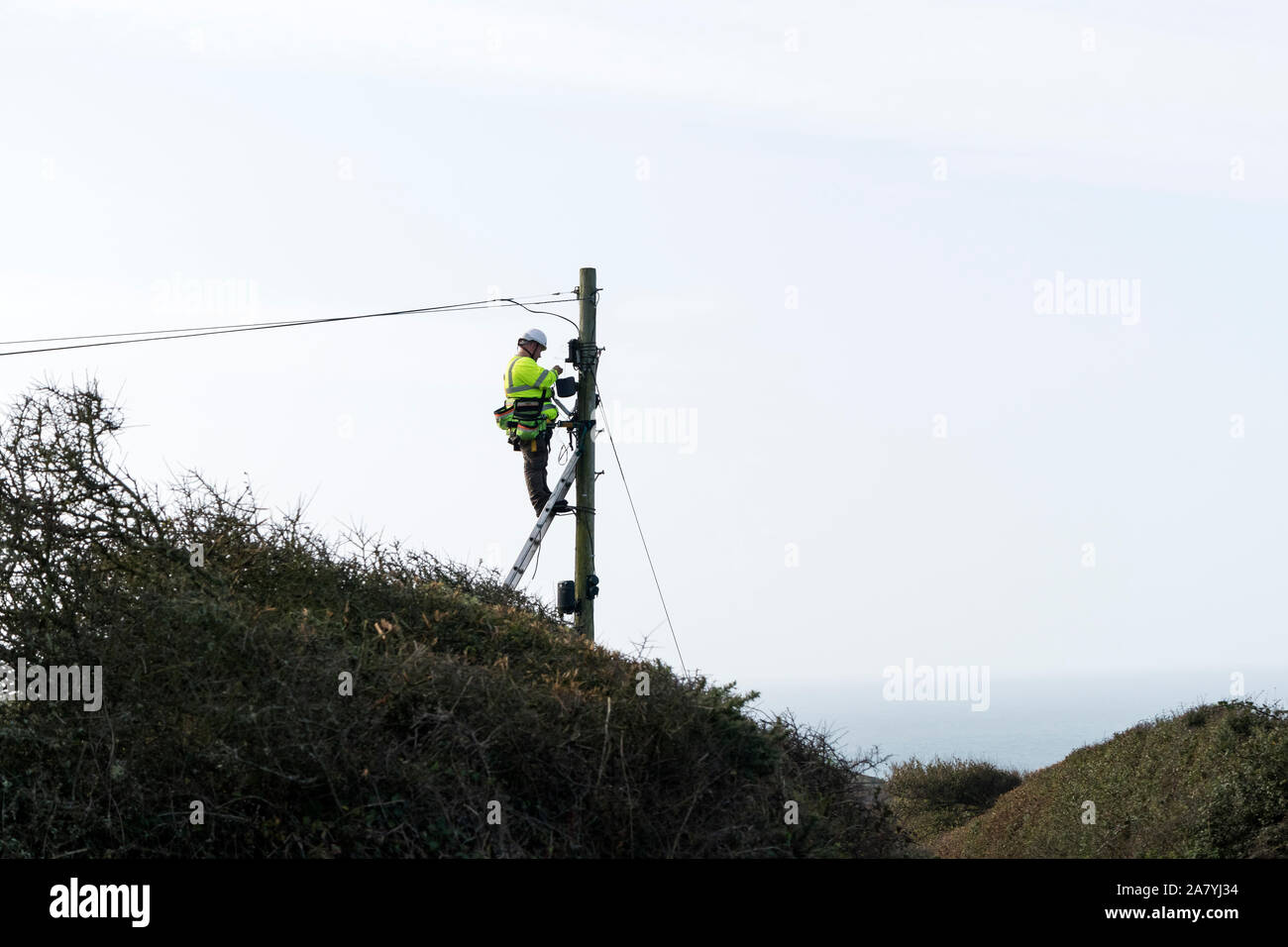 BT Openreach Engineer lavora in altezza su un palo del telegrafo in una zona rurale, Cornwall, Regno Unito Foto Stock