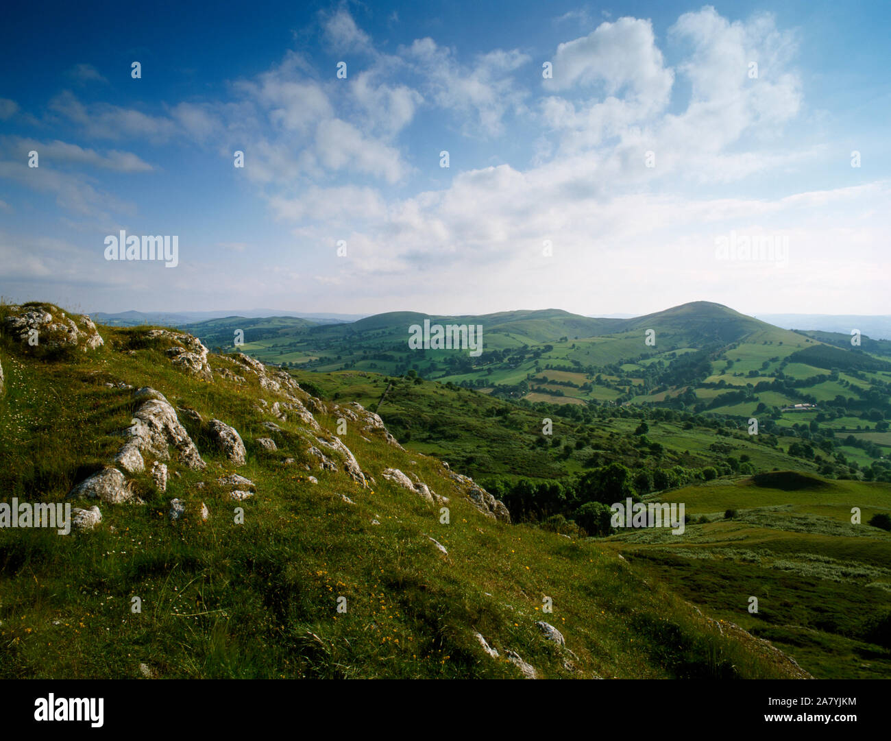 Guardando a sud-ovest di Bryn Alyn calcare ridge, sopra la valle di Alyn all'ultimo 3 basso le colline a sud della gamma Clwydian, Llanferres, Galles Foto Stock