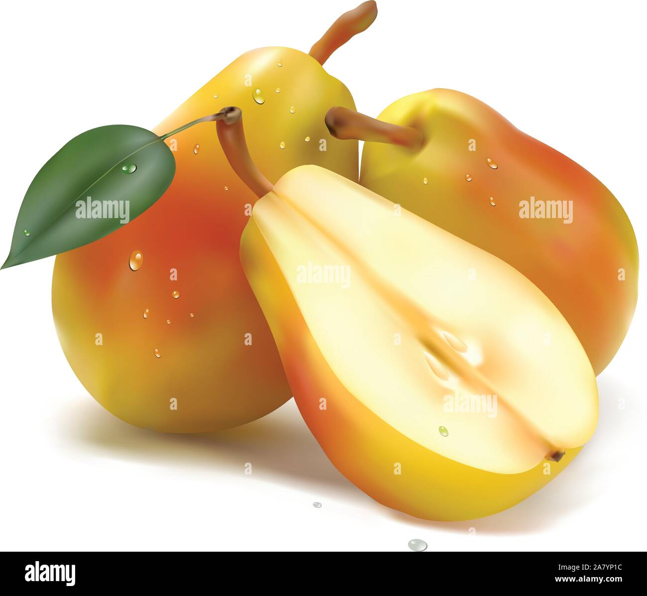Due pere a metà su sfondo bianco Illustrazione Vettoriale