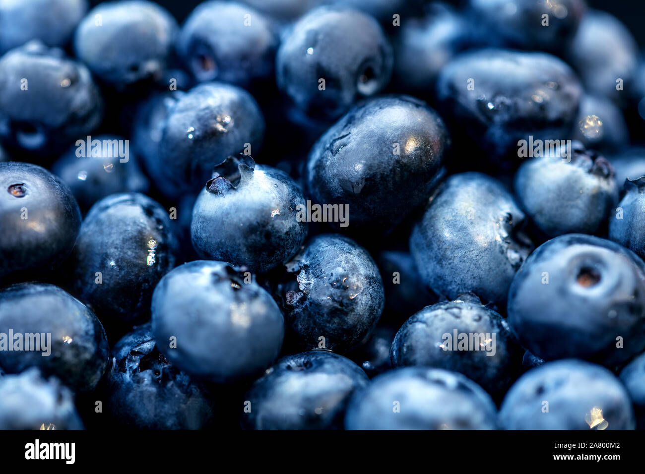 Cumulo di mirtilli o sfondo huckleberries, fresche e bacche di organico Foto Stock