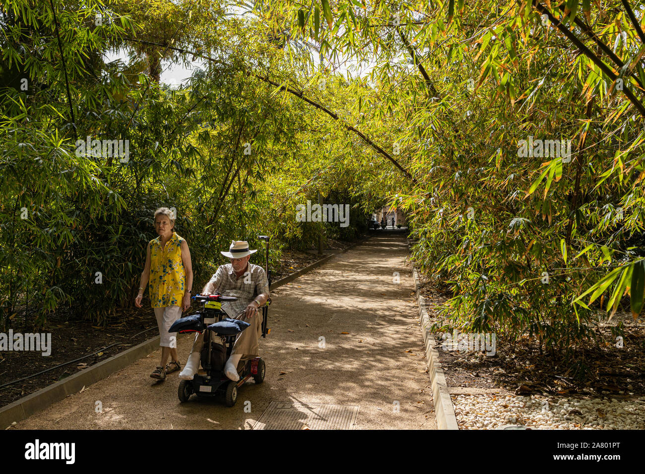 Uomo in sedia a rotelle motorizzata con donna compagno nel Parque Parco Garcia Sanabria in Santa Cruz de Tenerife, Isole Canarie, Spagna Foto Stock