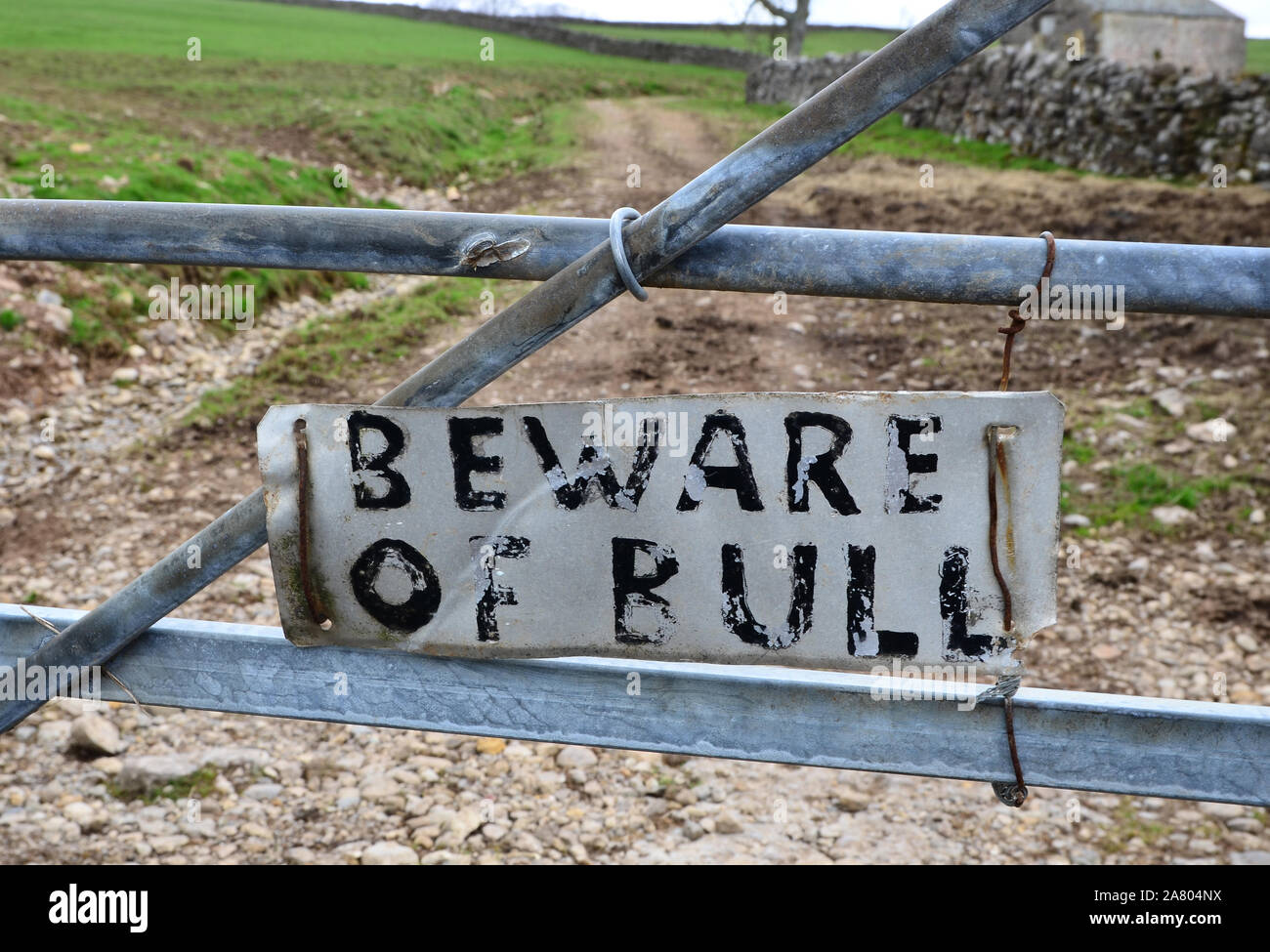 "Attenzione di Bull' firmare su porta Foto Stock