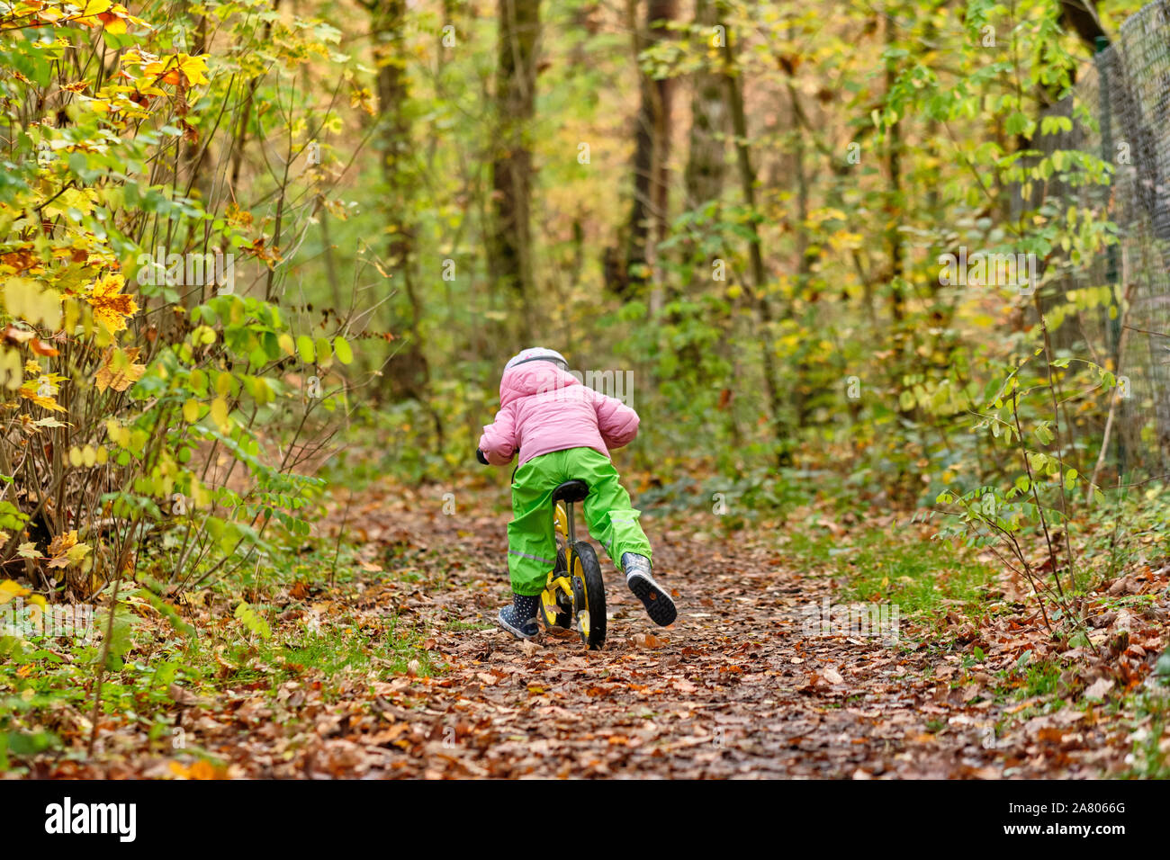 Vista posteriore di un bambino di 4 anni ragazza a cavallo veloce su un equilibrio moto su un sentiero attraverso un bosco autunnale in Franconia / Baviera in Germania in Octo Foto Stock