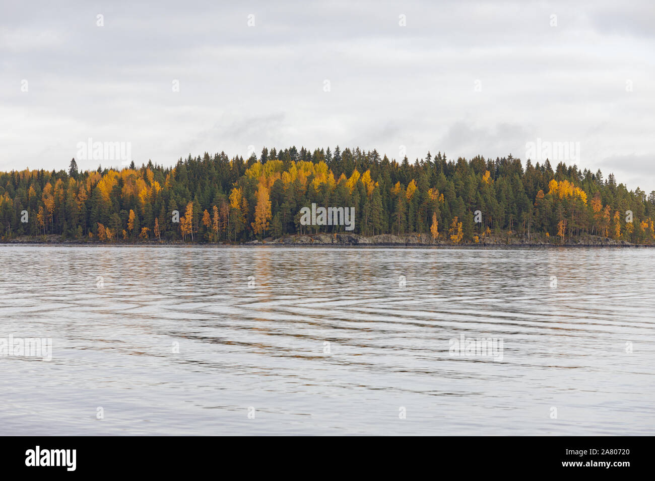 Forest treetops fogliame in autunno colori al lago sullo sfondo della natura Foto Stock