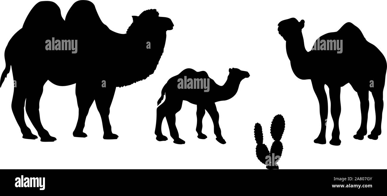 Famiglia di cammelli. Sagome di animali. Vector illustrator Illustrazione Vettoriale