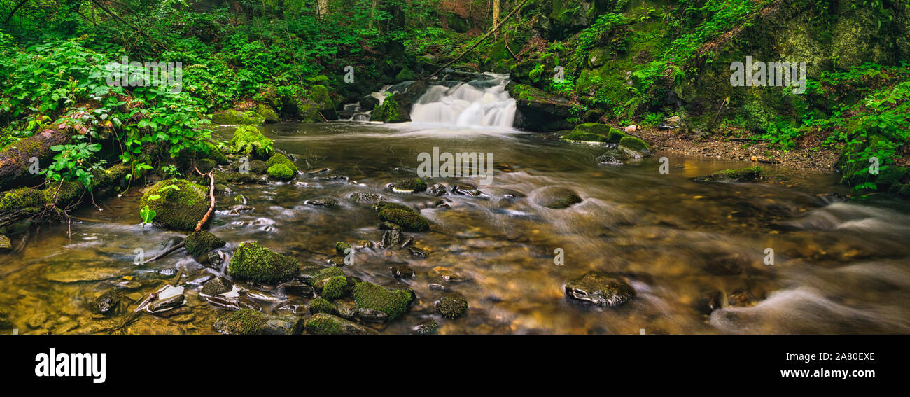 Paesaggio di belle pulite del fiume di montagna facendo una cascata nel profondo della foresta. Foto Stock