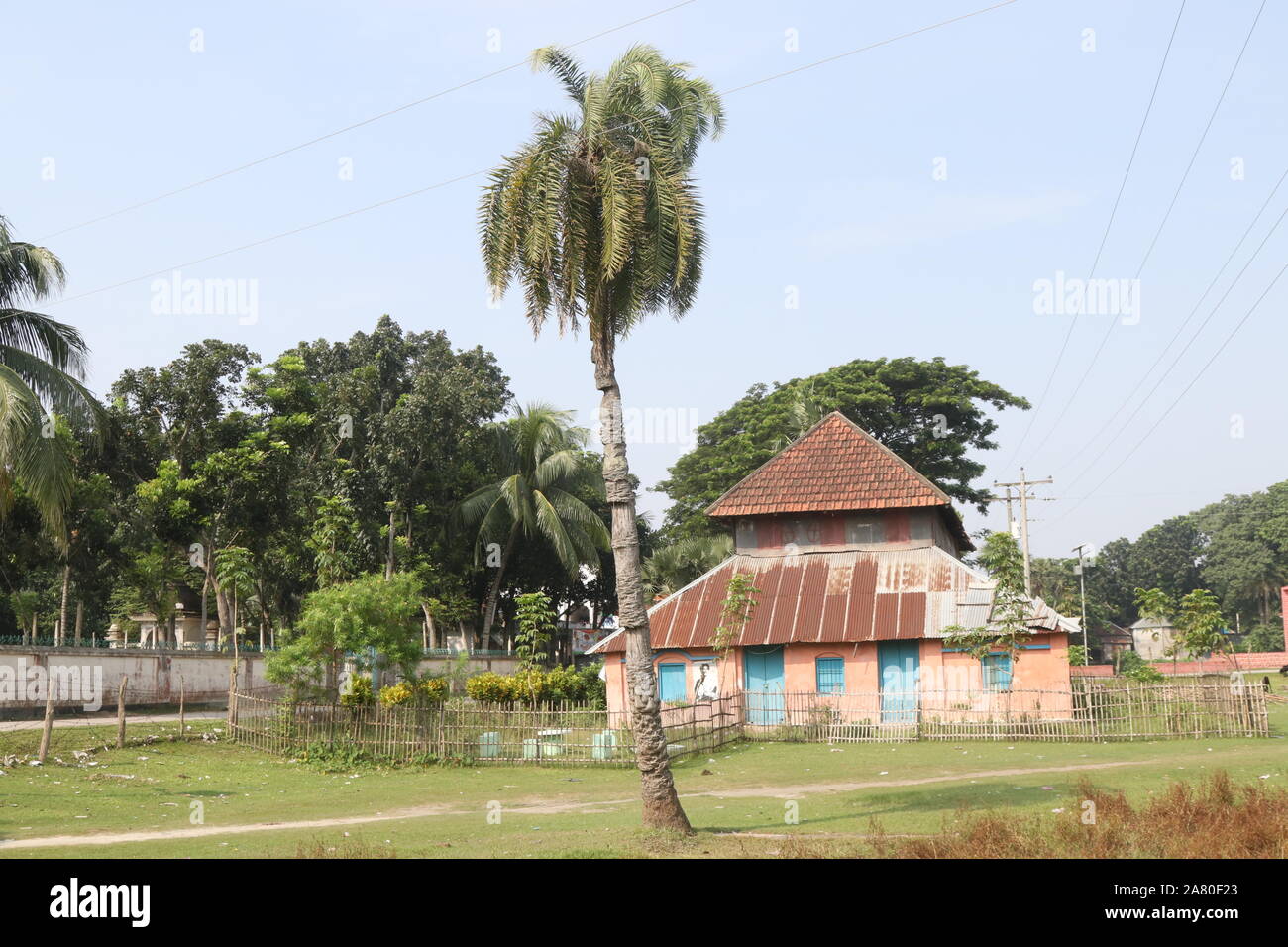La storia del Bangladesh ha detto che un sacco di antico edificio aveva fatto in questo paese. Palazzo Teota, Teota, Manikgan, Dhaka, il Bangladesh è uno di loro. Giglio di acqua è il fiore nazionale di Banglades. Foto Stock
