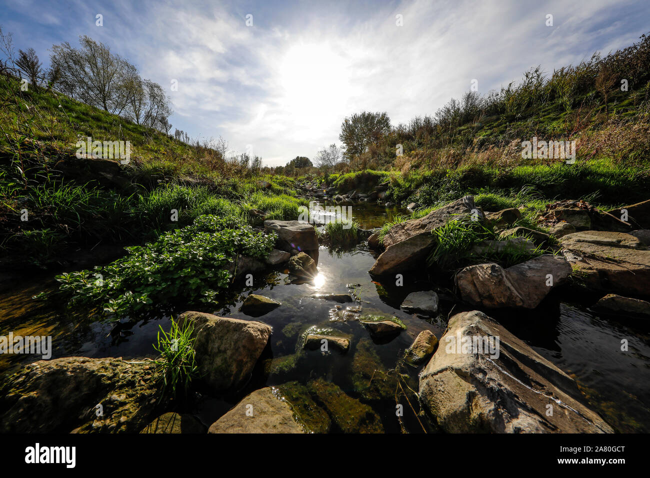 Datteln, la zona della Ruhr, Renania settentrionale-Vestfalia, Germania - rinaturato Dattelner Muehlenbach. Datteln, Ruhrgebiet, Nordrhein-Westfalen, Deutschland - Renatur Foto Stock