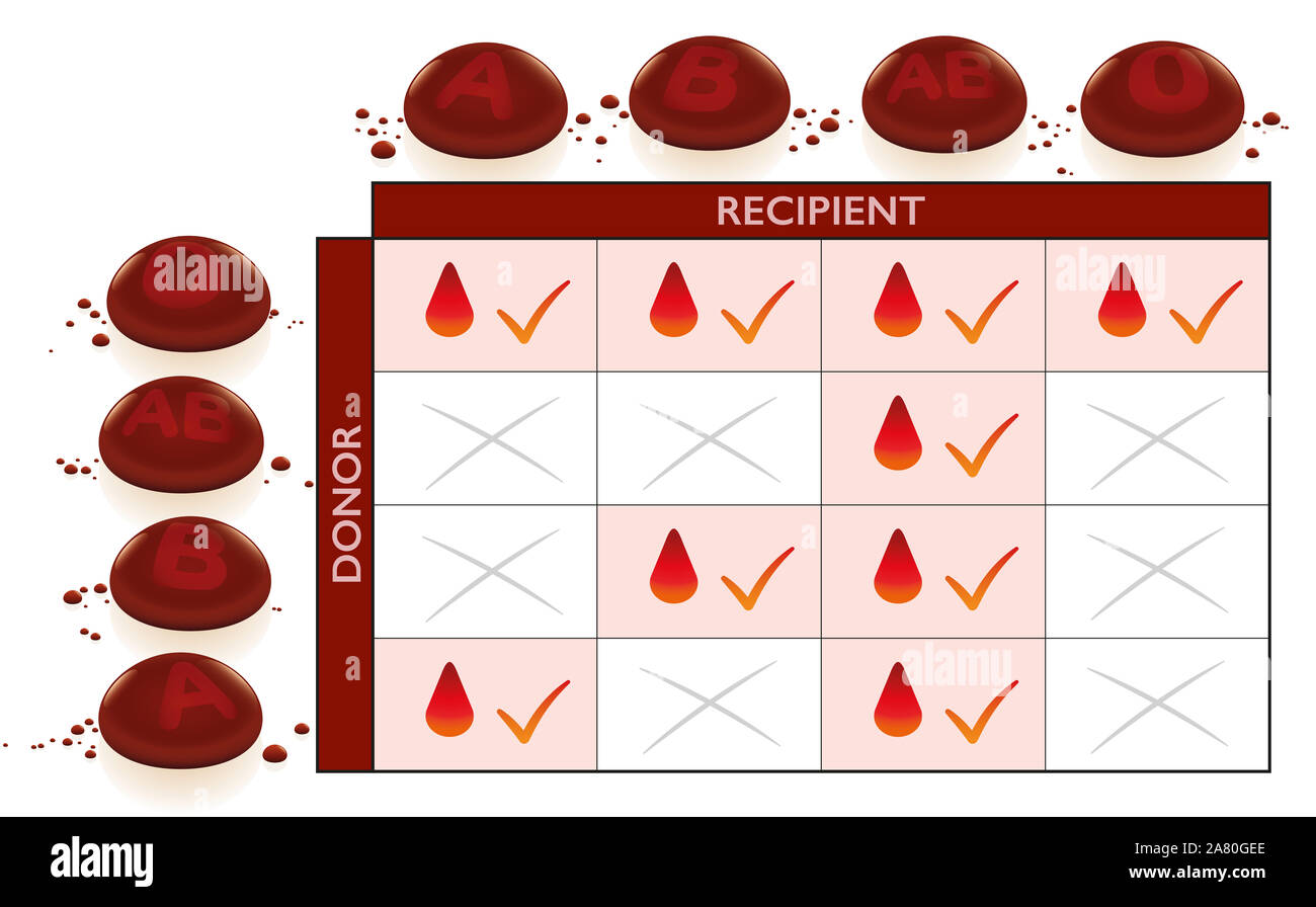 Gruppi sanguigni trasfusione grafico di compatibilità con la colonna e la riga per il donatore e il ricevente. Campi compatibili con i segni di spunta. Foto Stock