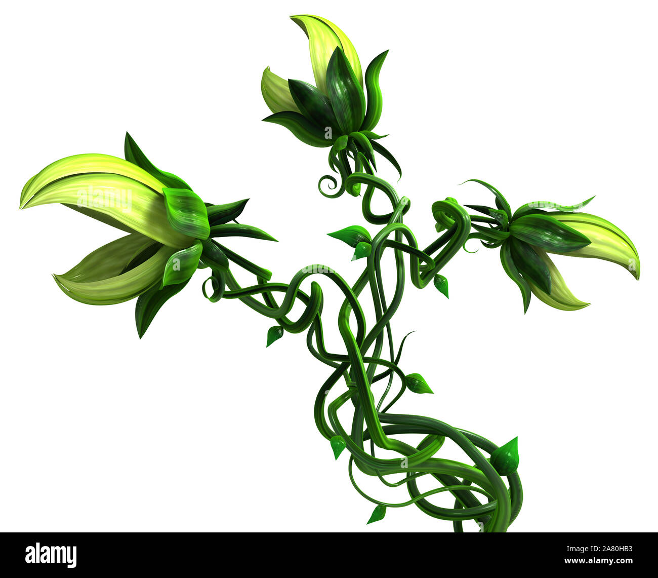 Coltivazione di piante verdi vitigno pungente con tre teste 3d'illustrazione, orizzontale, isolata su bianco Foto Stock