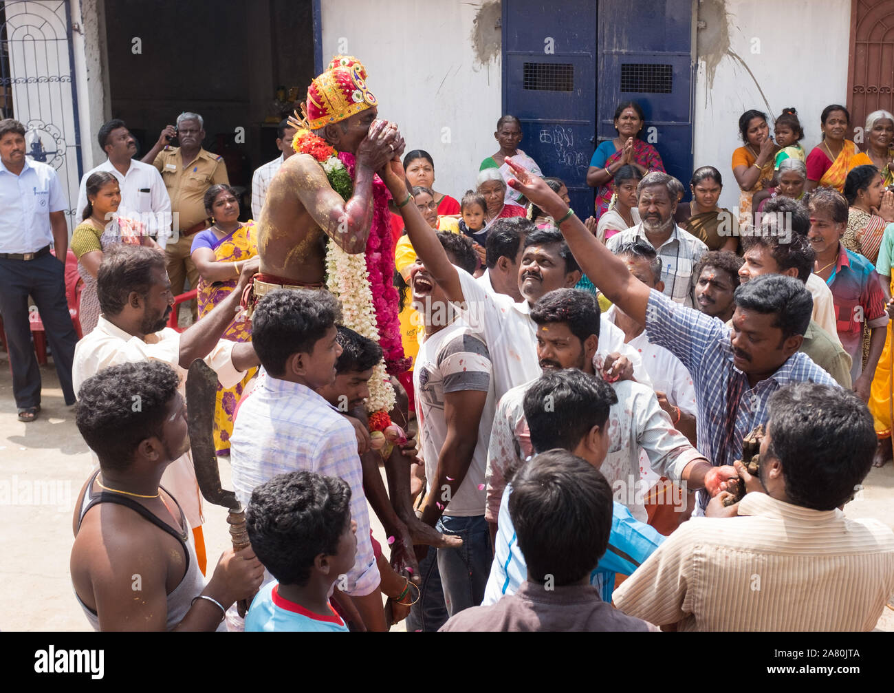 Sacerdote sulle spalle dei devoti di bere il sangue di un sacrificati giovane capra durante Kutti Kudithal Festival di Trichy, Tamil Nadu, India Foto Stock