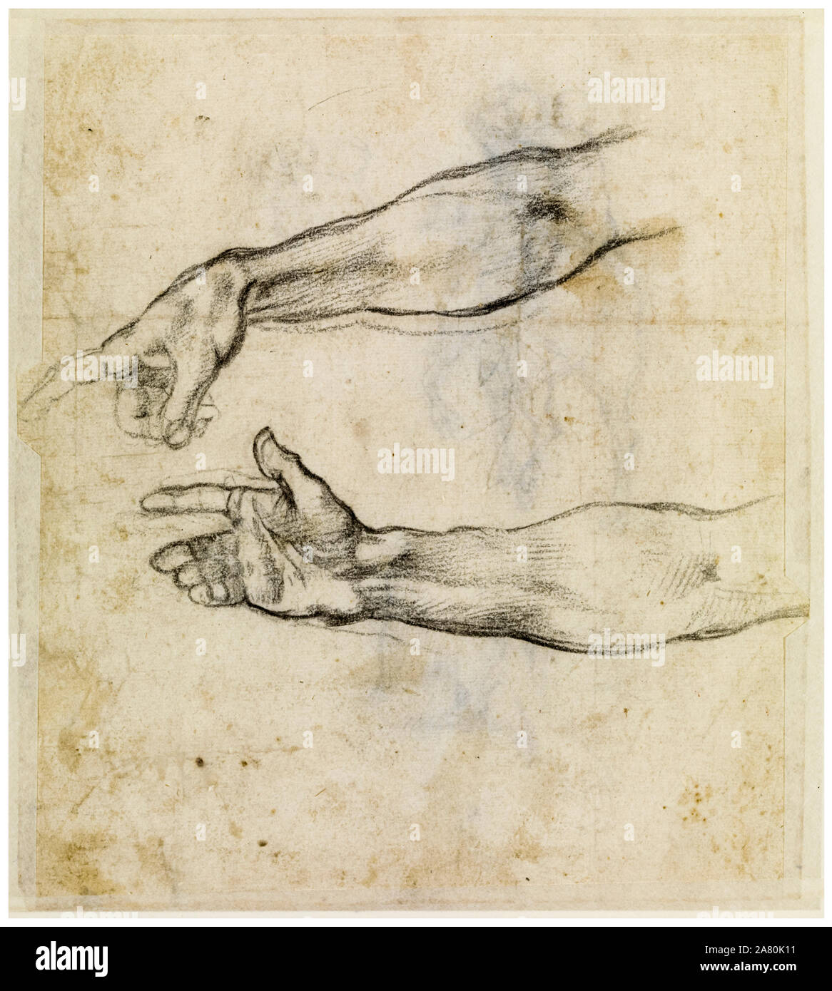 Michelangelo Buonarroti, studi di un braccio teso per l'affresco "L'Ebbrezza di Noè' nella Cappella Sistina, disegno, circa 1508-1509 Foto Stock