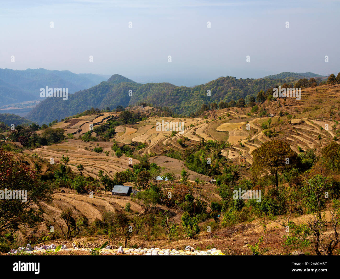 Villaggio circondato da campi terrazzati sul Kaladhungi-Nainital road, Uttarakhand, India Foto Stock