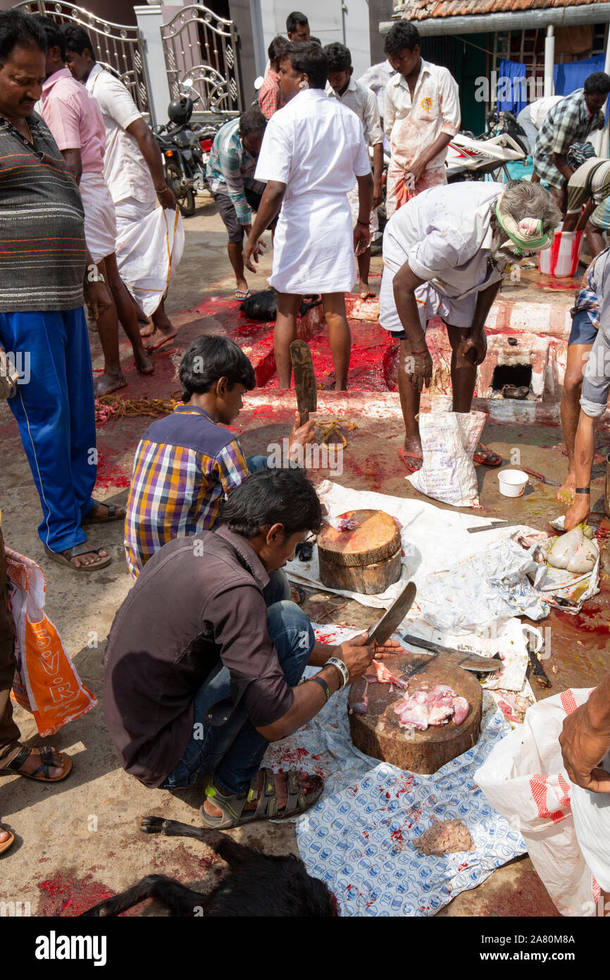 I devoti il taglio di carne di capra durante Kutti Kudithal Festival di Trichy, Tamil Nadu, India Foto Stock