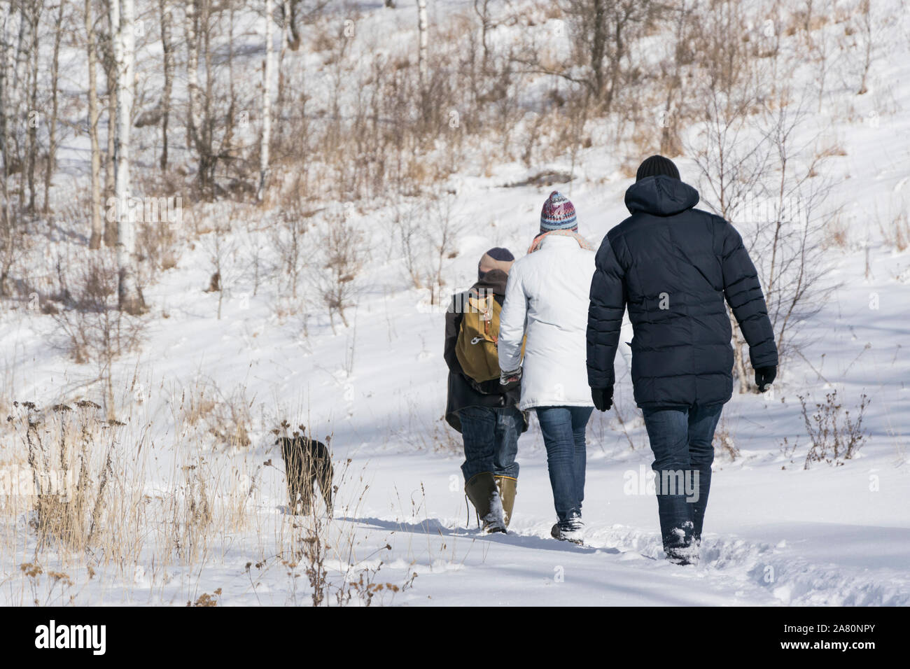 Escursioni in montagna d'inverno. Persone che viaggiano e sport concept. Foto Stock