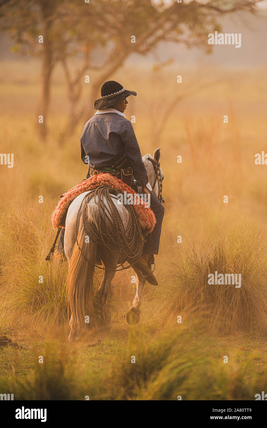 Un pantaneiro (cowboy da Pantanal) a cavallo Foto Stock