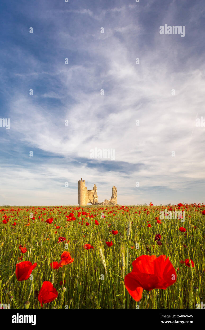 Campo di papavero e il castello di Caudilla, in Castiglia in Spagna. Giornata di sole. La molla nella regione di Castilla la Mancha, España. Foto Stock