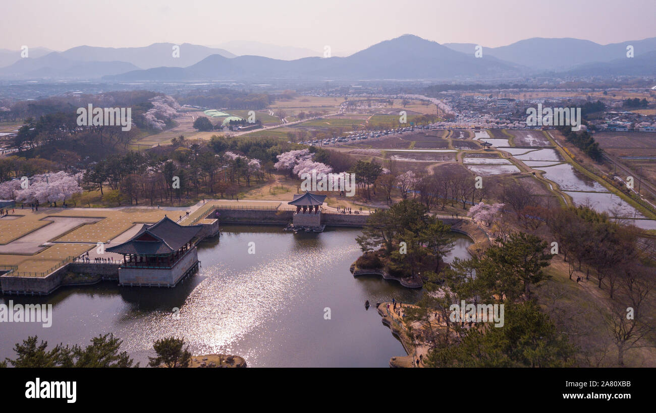 Vista aerea a Gyeongju Cherry Fastival,Corea del Sud Foto Stock