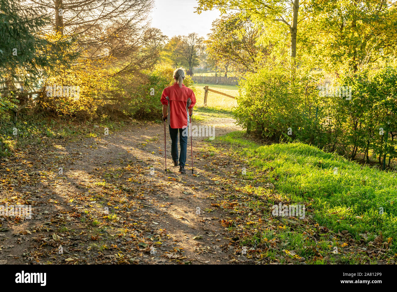 Una donna con capelli biondi sta facendo nordic walking. Lei cammina attraverso un autunnale di bosco di latifoglie. Il sole rende la lascia brillare. Foto Stock