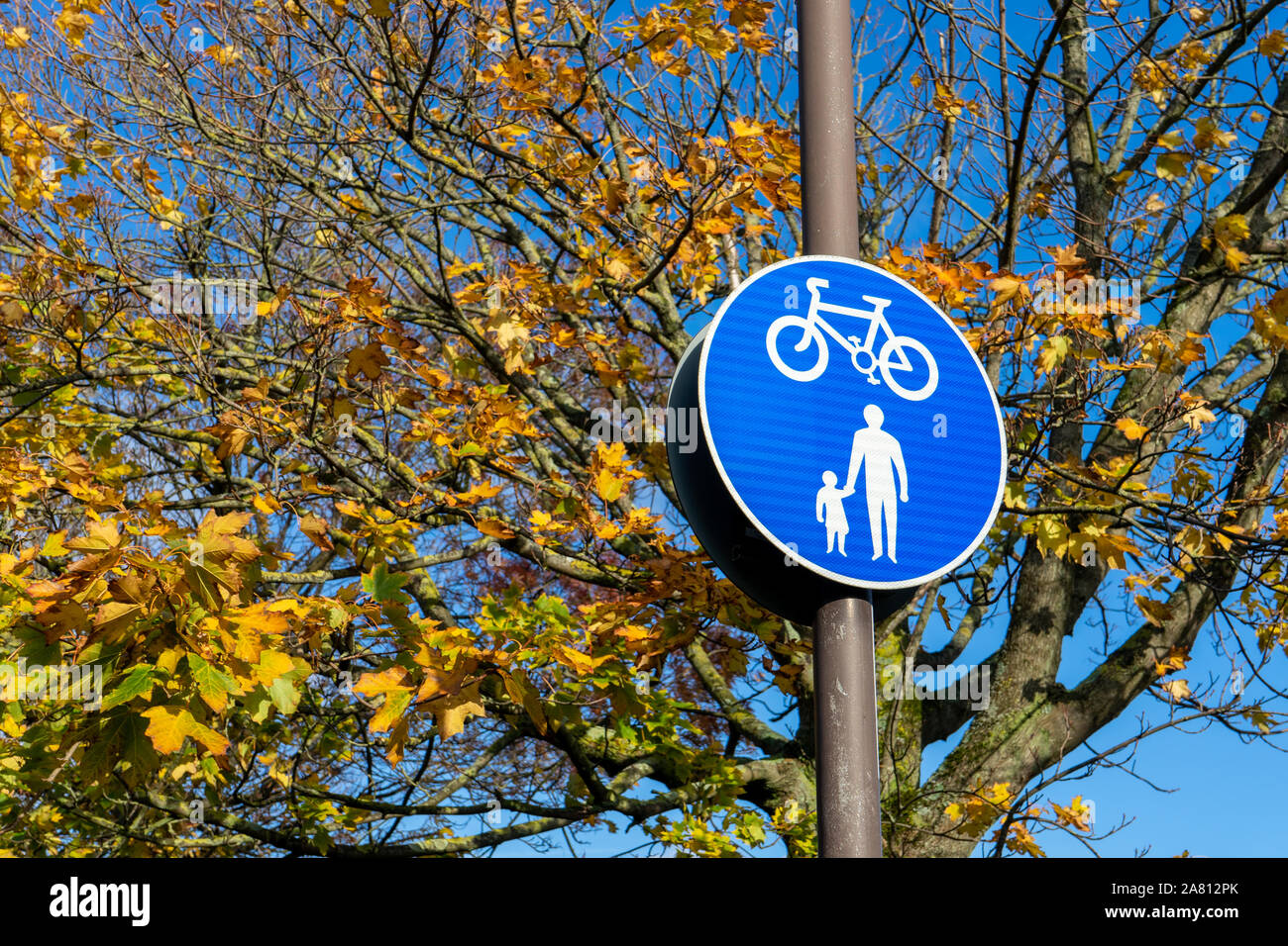 Una pista ciclabile e pedonale di attraversamento segno di avvertimento su un lampione Foto Stock