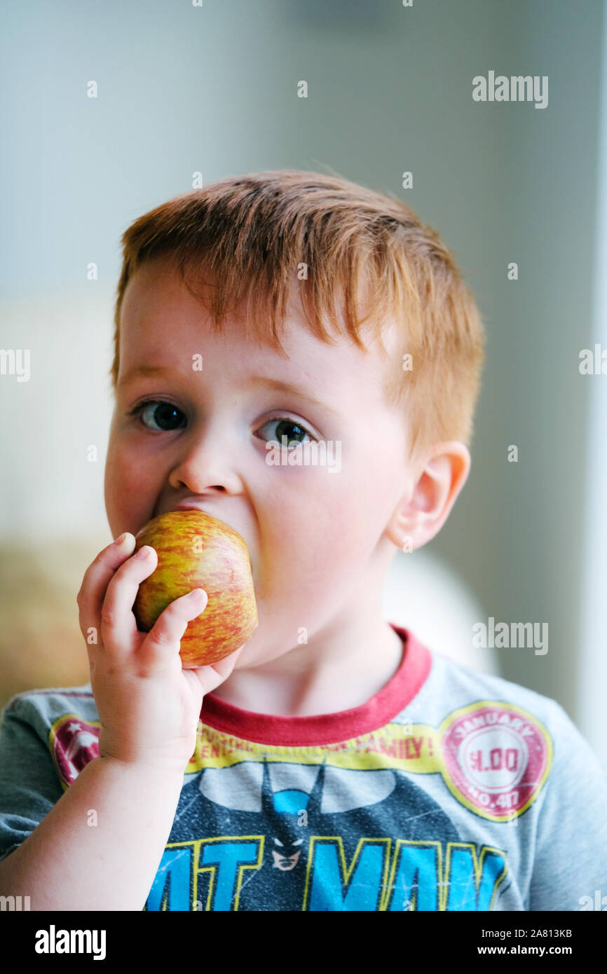 Un ragazzo giovane, prescolano, che si cita e si gode, di una mela sana. Uno dei suoi cinque frutti o verdi al giorno Foto Stock