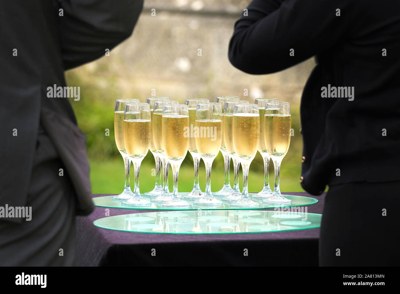 Un vassoio di champagne flauti o bicchieri riempiti con champagne e in attesa di essere preso da ospiti ad un ricevimento di nozze Foto Stock