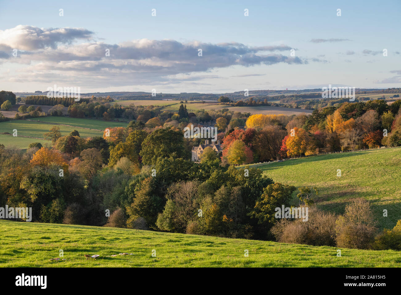 Abbotswood estate in autunno. Stow on the wold, Cotswolds, Gloucestershire, Inghilterra Foto Stock