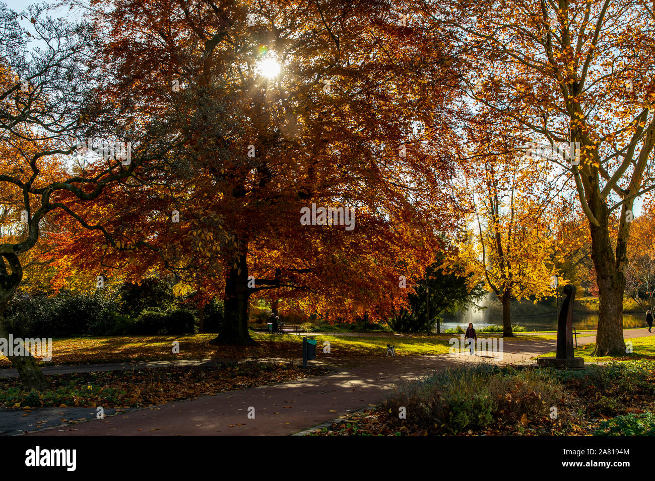 Essen, Downtown, il parco della città in autunno Foto Stock