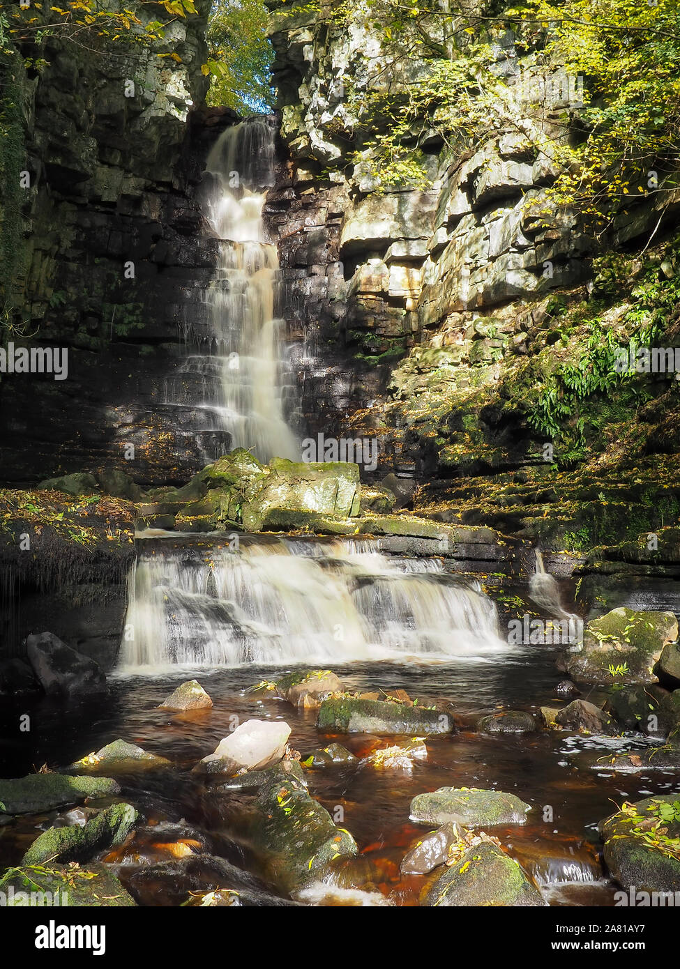 Il torrente di acqua a cascata su Mill Gill vigore la cascata nel bosco, Askrigg, Yorkshire Dales Foto Stock