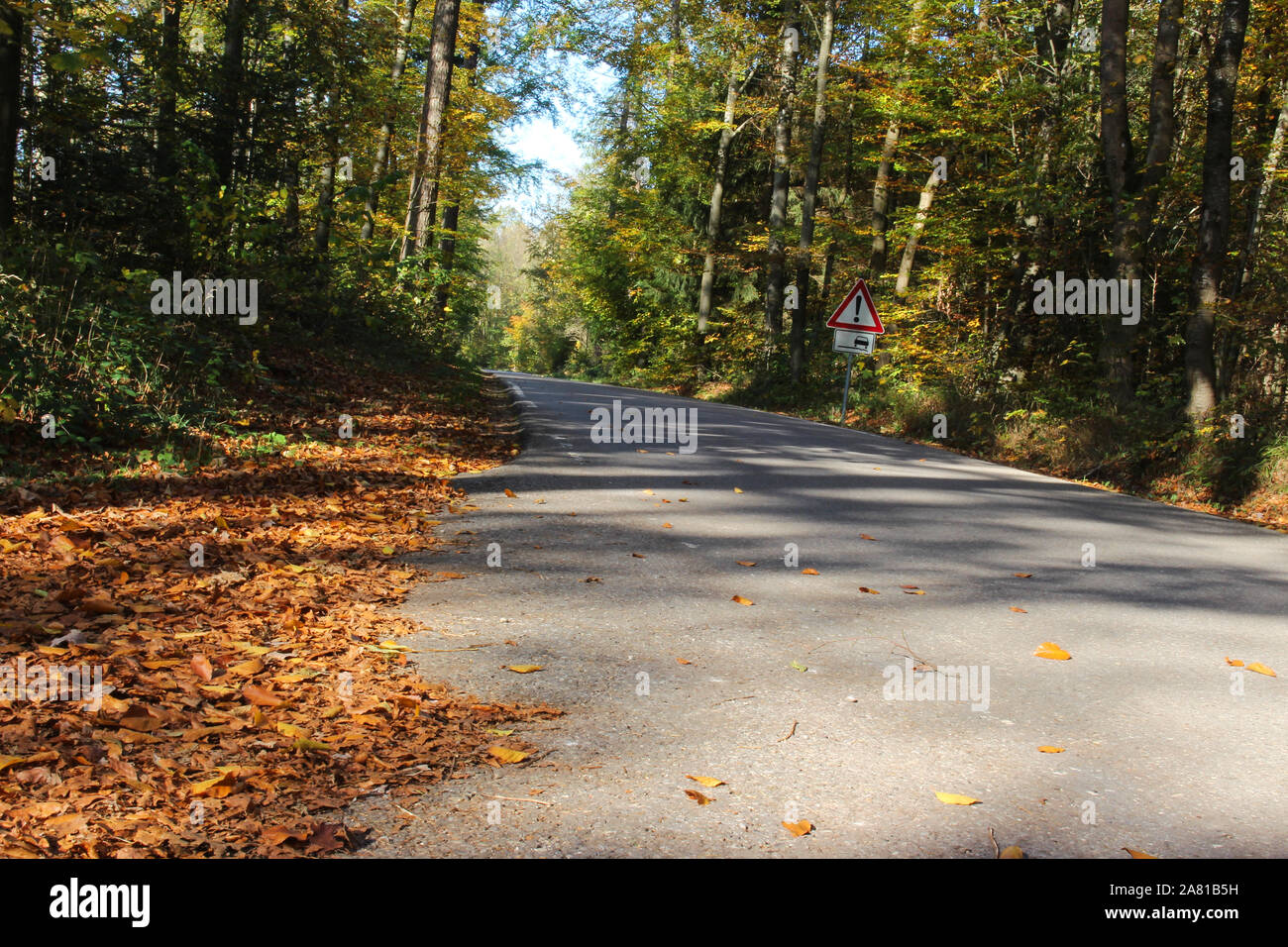 La strada attraverso autunno foresta colorata con segnaletica di pericolo non asfaltata striscia di bordo, la messa a fuoco su oggetti in primo piano Foto Stock
