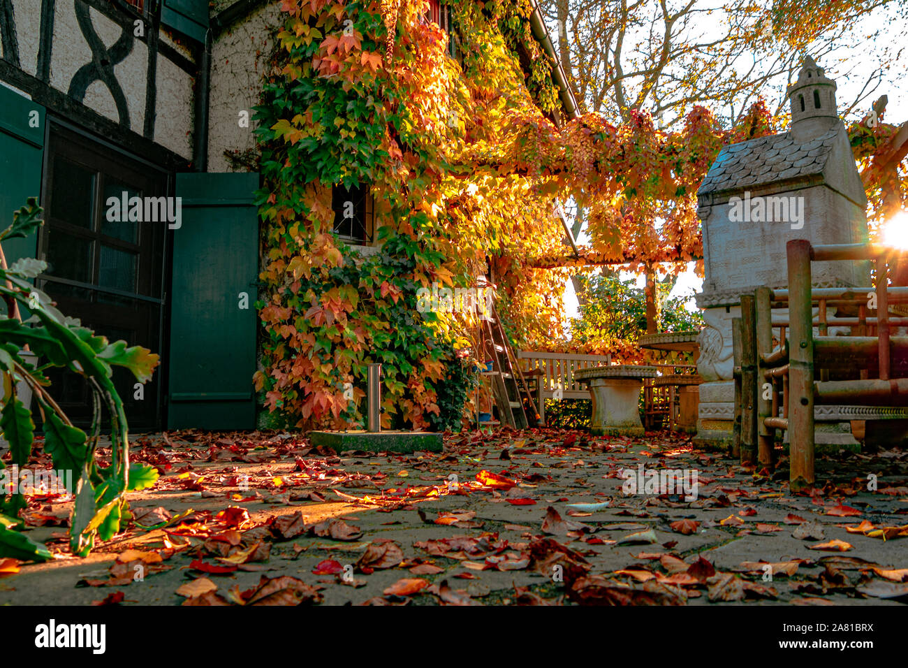 Foglie in un giardino con una vecchia casa Foto Stock