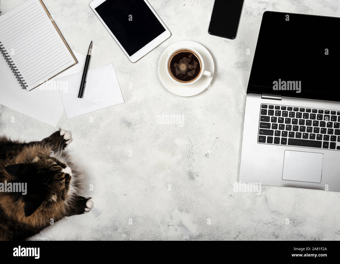 Area di lavoro con computer portatile, cat, tablet e smartphone, notebook e una tazza di caffè. Vista superiore del freelancer luogo di lavoro. Foto Stock