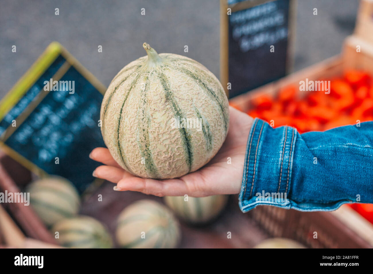 Mature sweet Cavaillon Melon nella mano di una ragazza Foto Stock