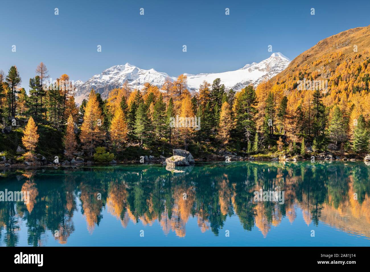 In autunno la foresta di larici riflessa nel Lago di Saoseao, Piz Varuna e Piz Palu sul retro, Engadina, Canton Grigioni, Svizzera Foto Stock