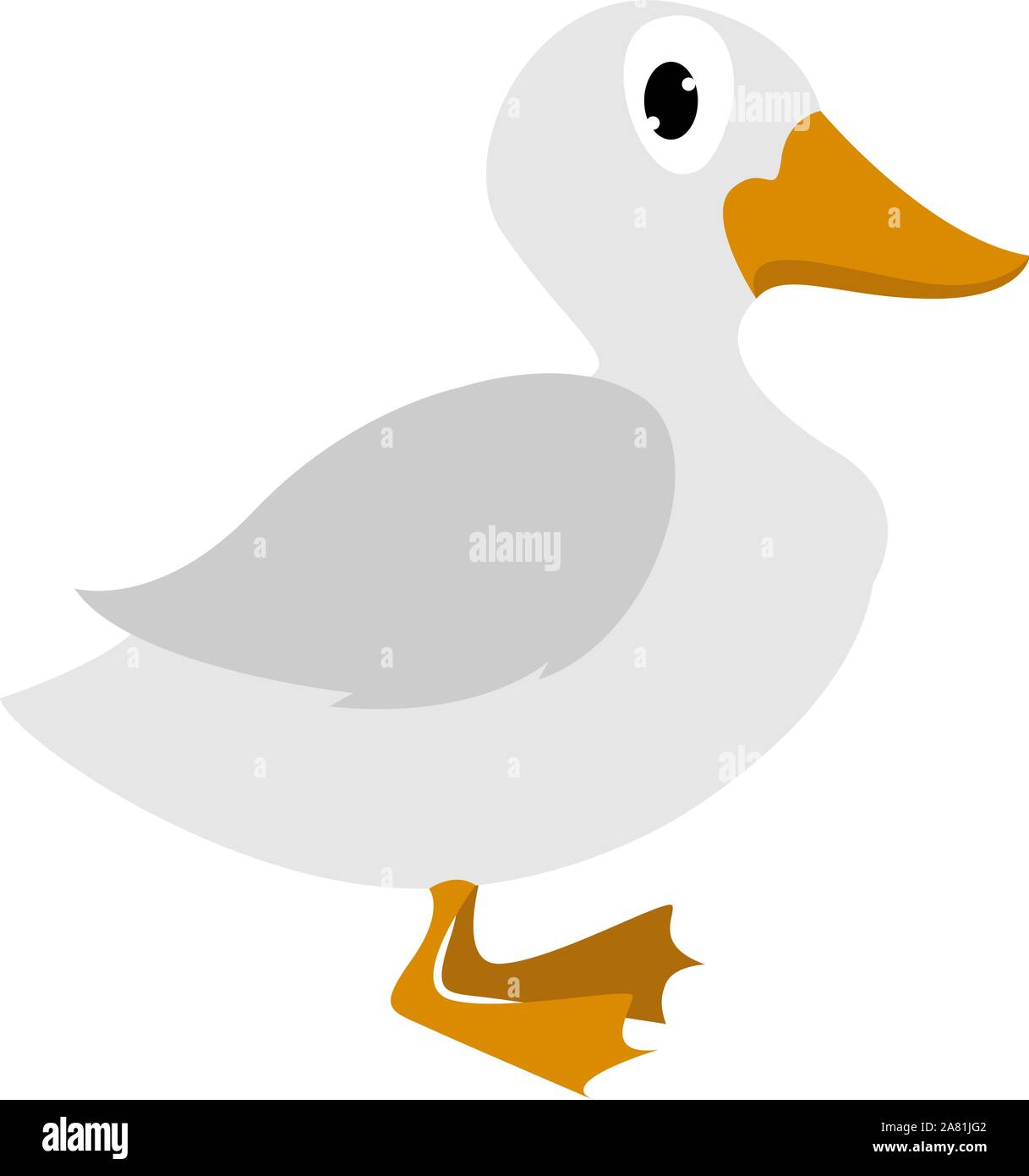 Anatra domestica, illustrazione vettore su sfondo bianco. Illustrazione Vettoriale