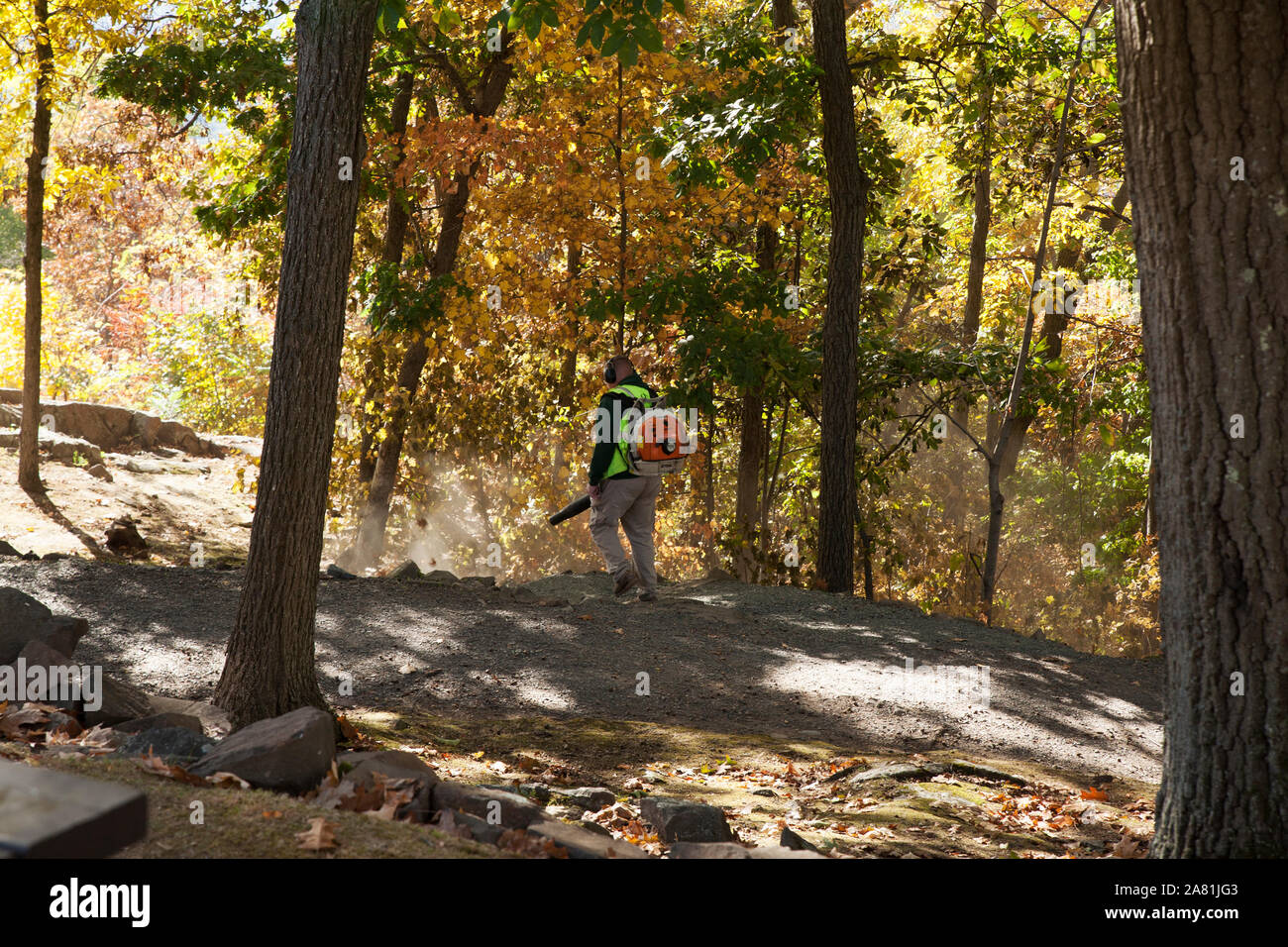Lavoratore di foglie di soffiatura off sentieri per escursioni al parco dello stato in South Hadley, Massachusetts. Foto Stock