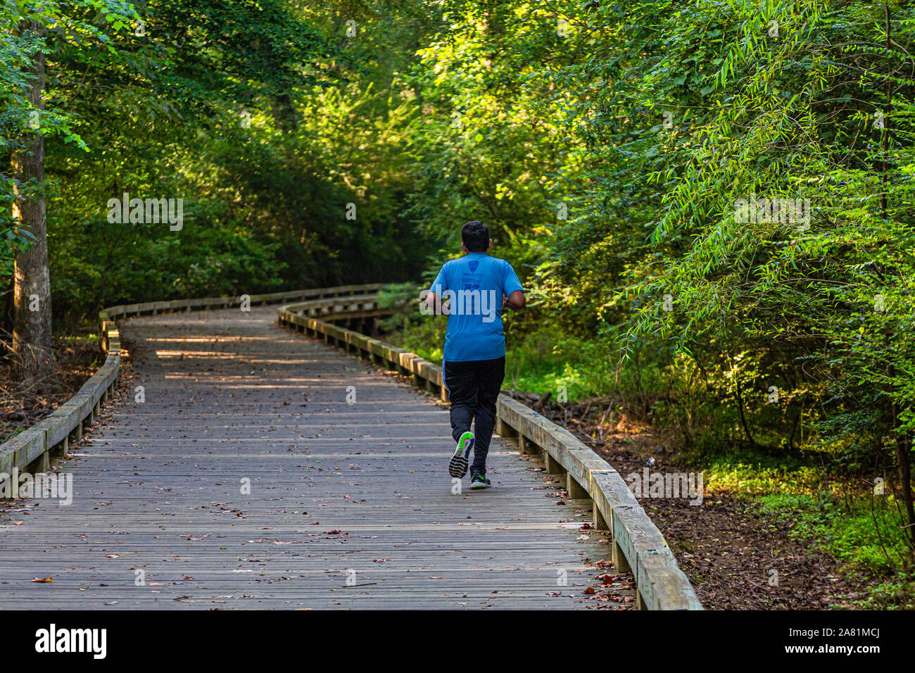 Uomo di jogging sul percorso fitness Foto Stock