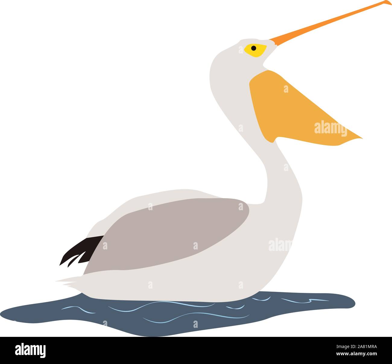 Pelican, illustrazione vettore su sfondo bianco. Illustrazione Vettoriale