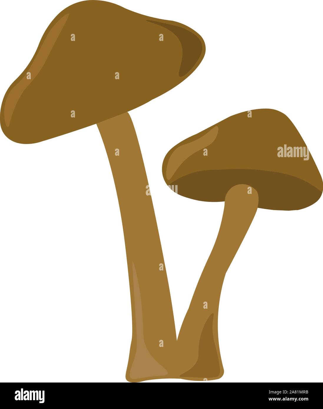 Funghi, illustrazione, vettore su sfondo bianco. Illustrazione Vettoriale