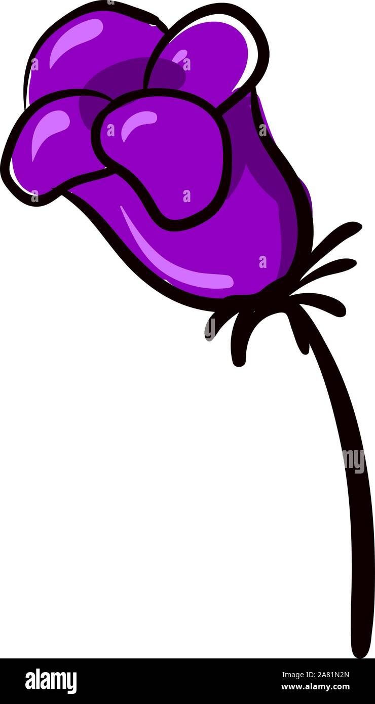 Disegno di orchidee, illustrazione vettore su sfondo bianco. Illustrazione Vettoriale