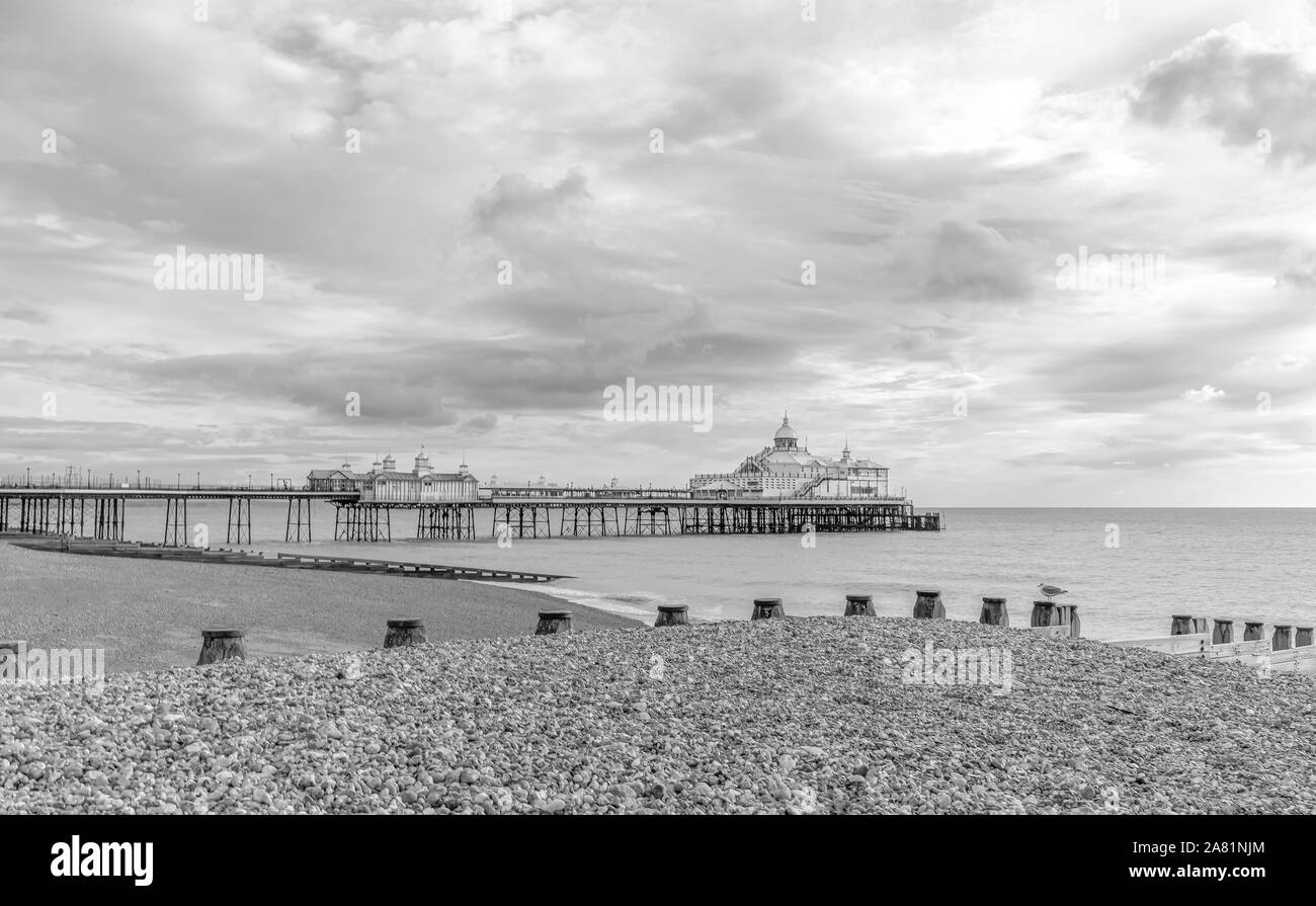 La mattina presto a una spiaggia di ciottoli a Eastbourne. Un frangiflutti in legno è in primo piano e un molo al di là. Un mattino cielo è sopra. Foto Stock