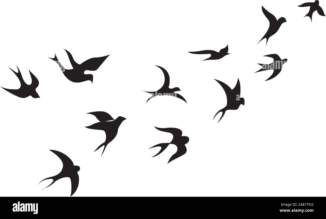 Uccelli, illustrazione, vettore su sfondo bianco. Illustrazione Vettoriale