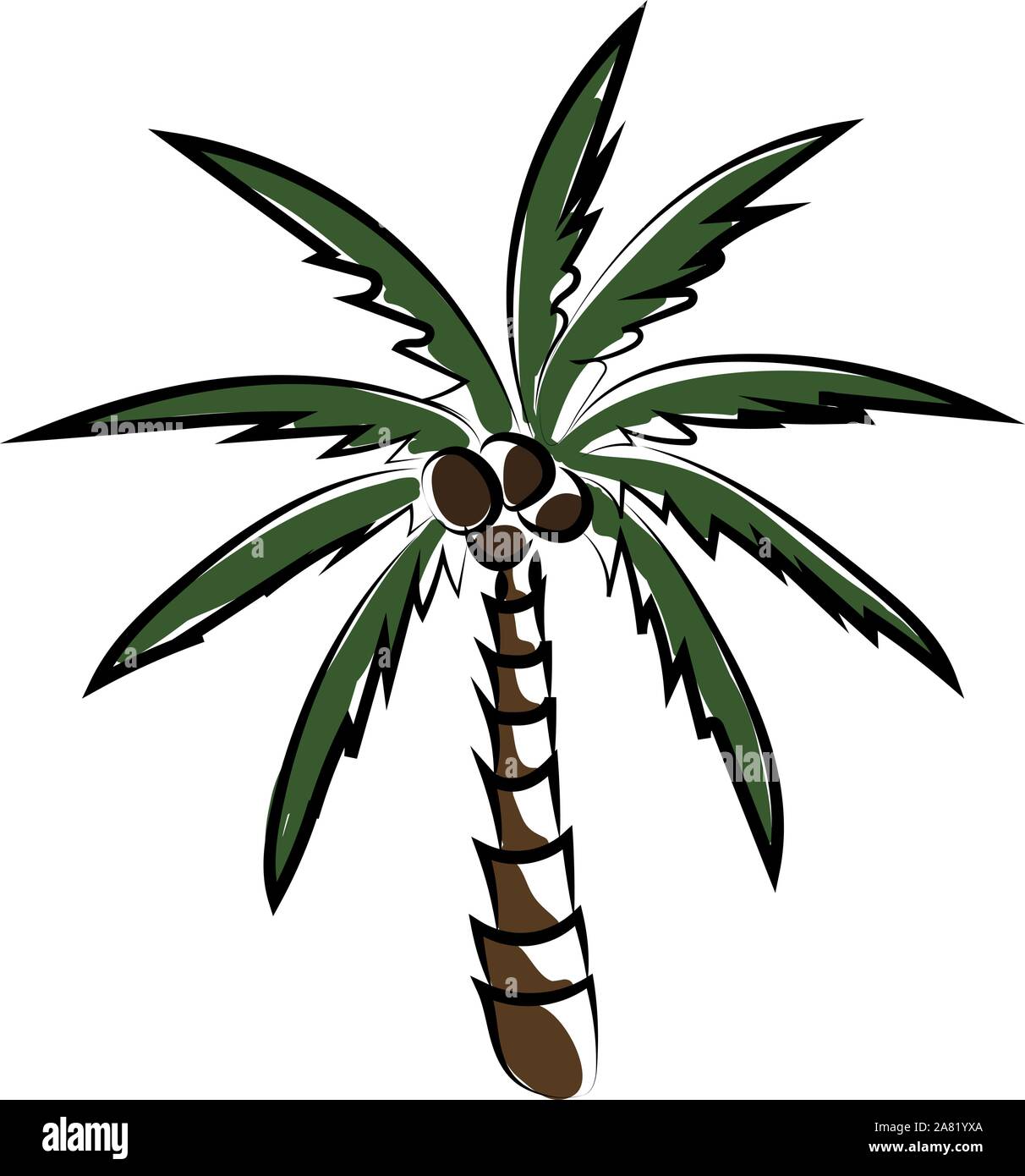 Palm tree, illustrazione vettore su sfondo bianco. Illustrazione Vettoriale