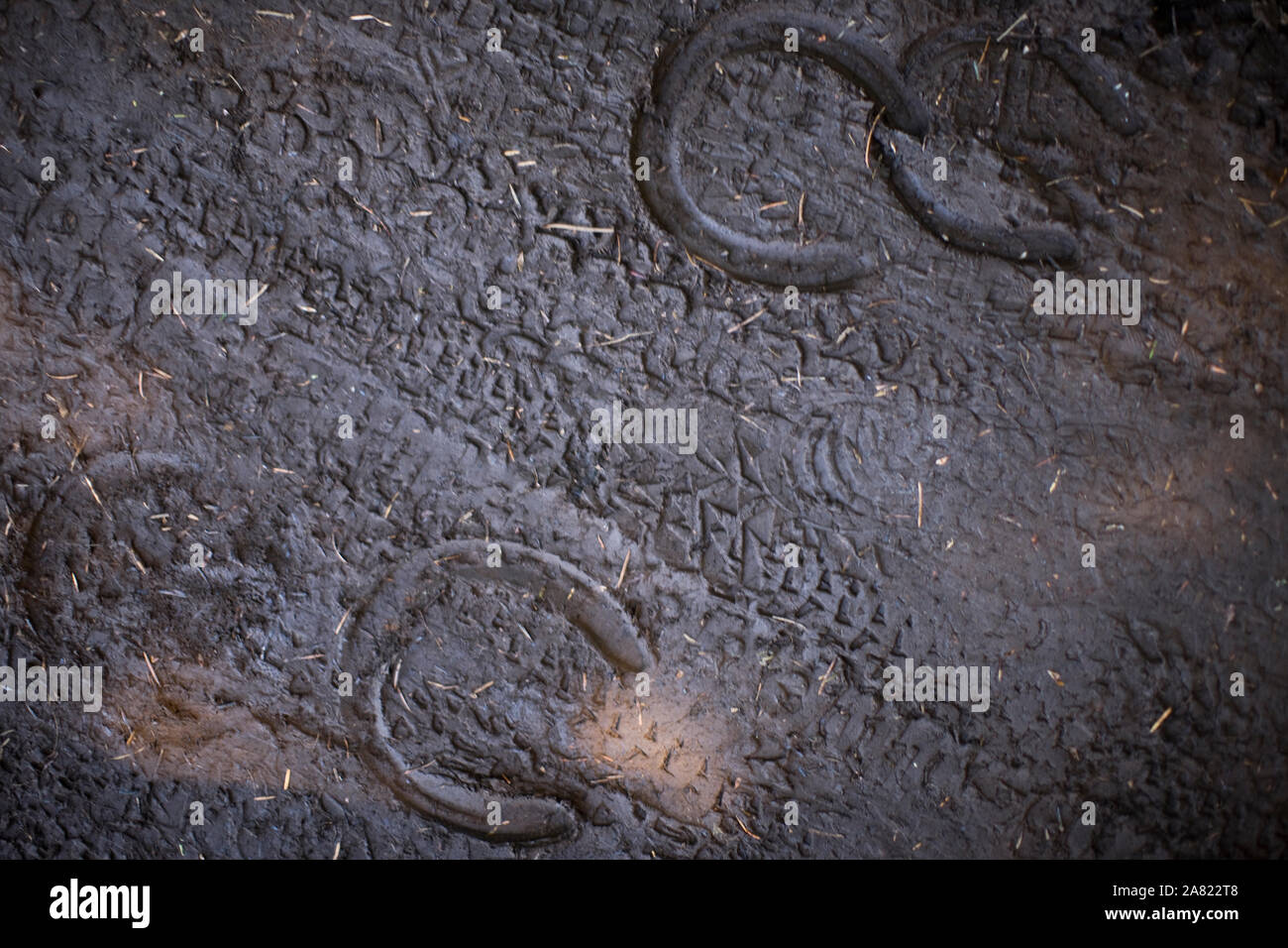 Pneumatico per bicicletta le vie e il ferro di cavallo di stampe nel terreno Foto Stock
