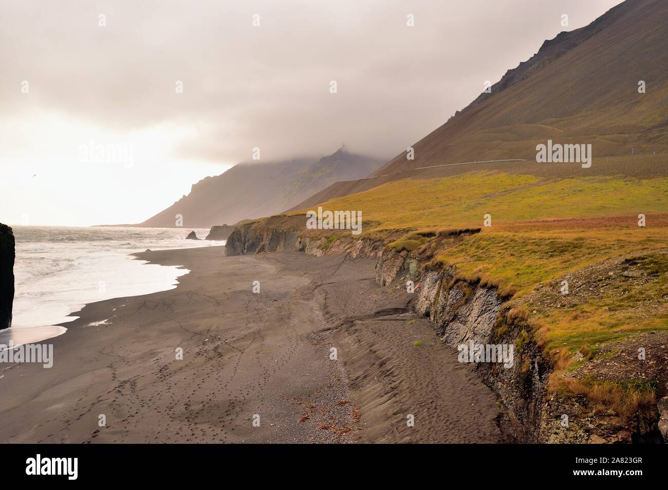 Oriente fiordi, Islanda. Rocce e spiagge di sabbia nera formata da attività vulcanica sono spruzzati in Islanda Fiordi Orientali. Foto Stock