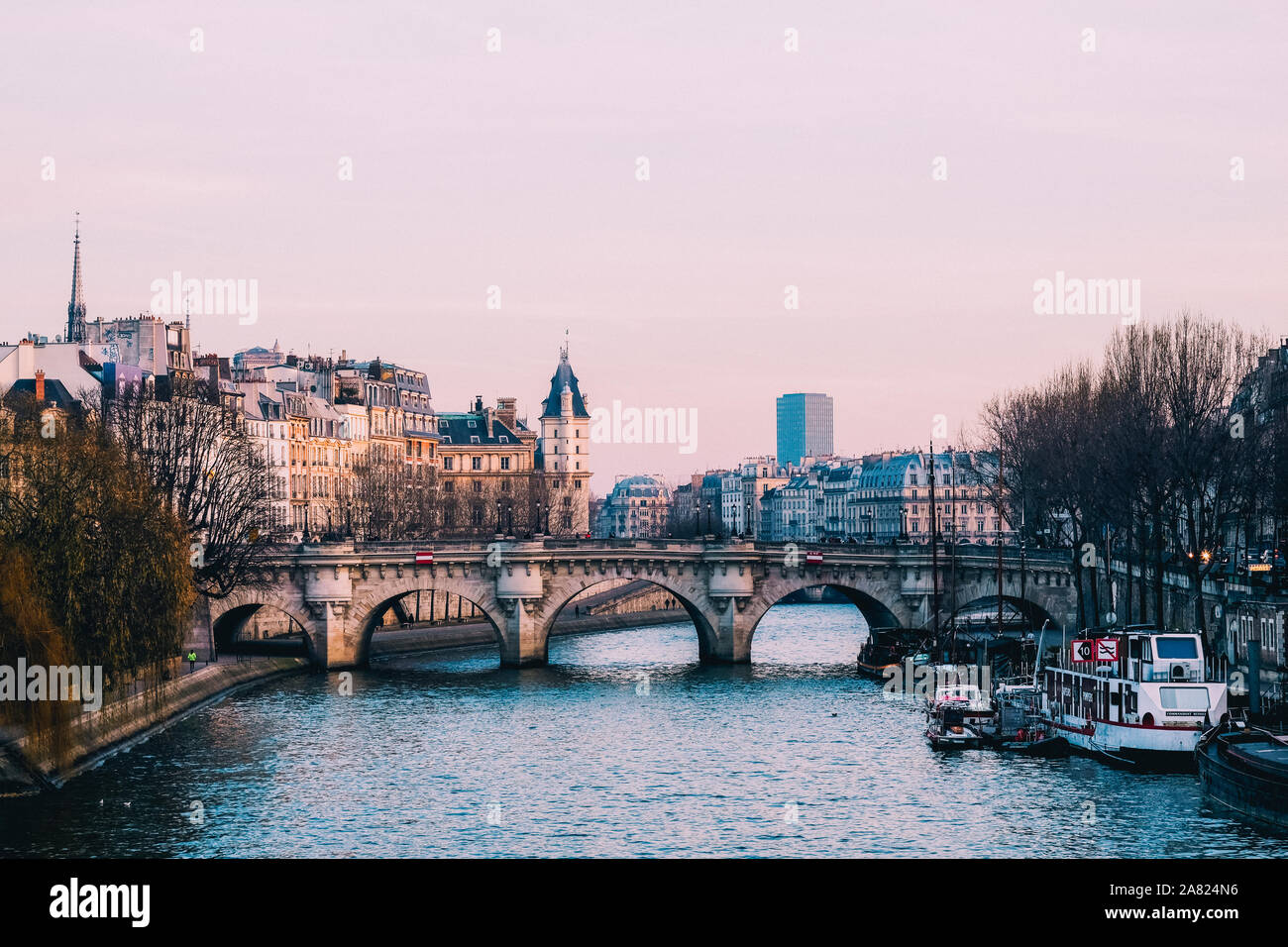 Vista su ile de la Cité dal Pont des Arts durante l'inverno, Parigi, Francia Foto Stock