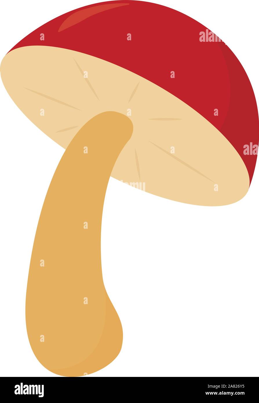 Testa a fungo, illustrazione, vettore su sfondo bianco. Illustrazione Vettoriale