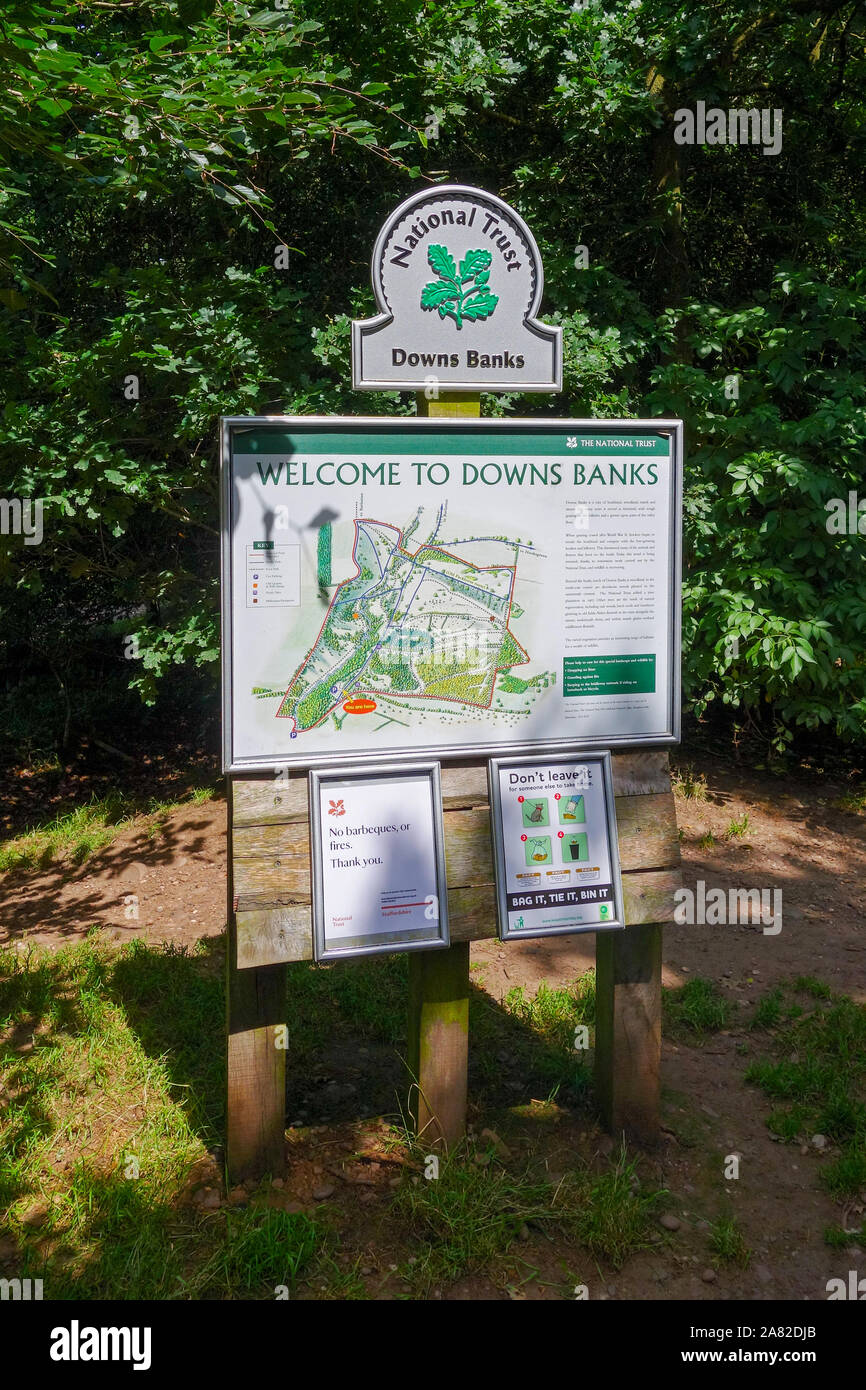 Downs banche, National Trust area di proprietà di aperta campagna e boschi e Heath vicino a pietra, Staffordshire, England, Regno Unito Foto Stock