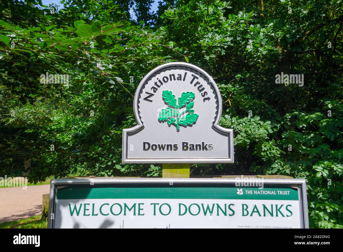 Downs banche, National Trust area di proprietà di aperta campagna e boschi e Heath vicino a pietra, Staffordshire, England, Regno Unito Foto Stock